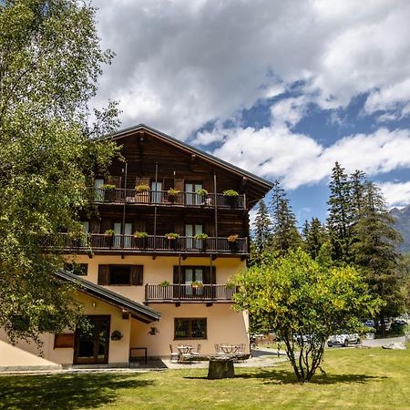 Alpine Forest Hotel ชัมโปลุก ภายนอก รูปภาพ