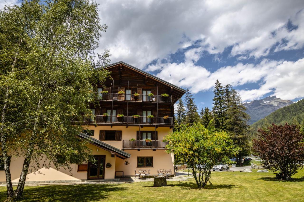 Alpine Forest Hotel ชัมโปลุก ภายนอก รูปภาพ